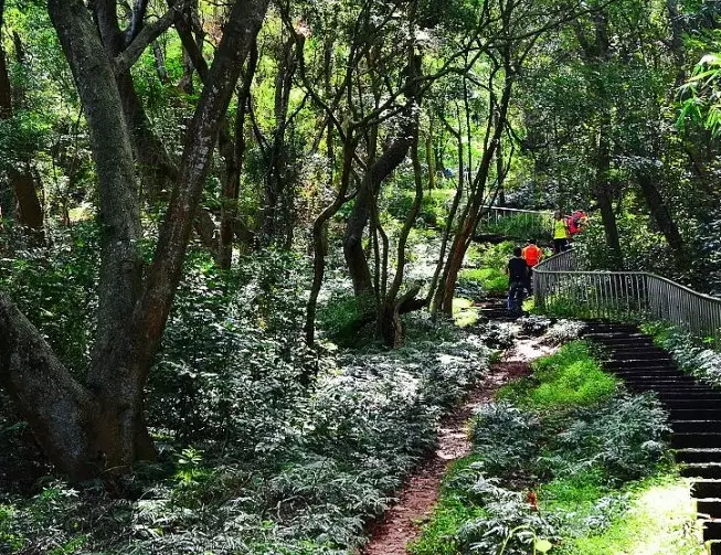田中森林公園步道
