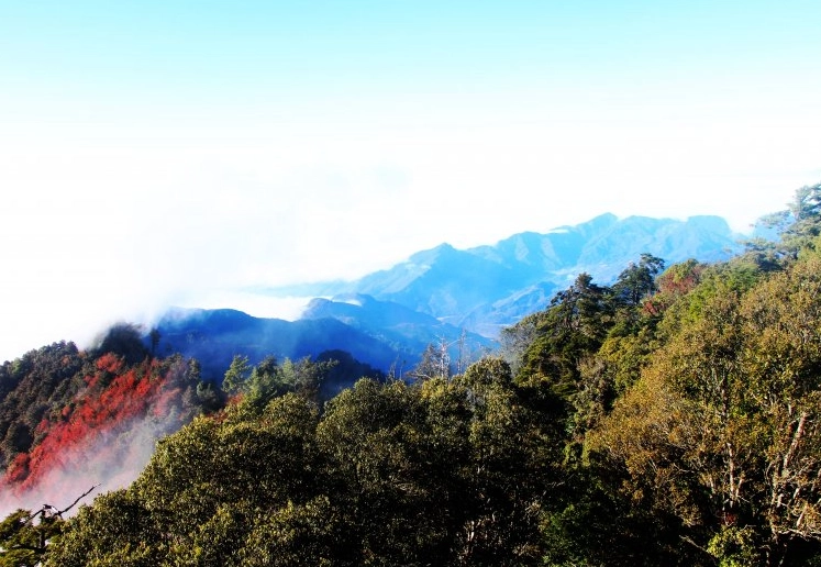鳶嘴山登山路線