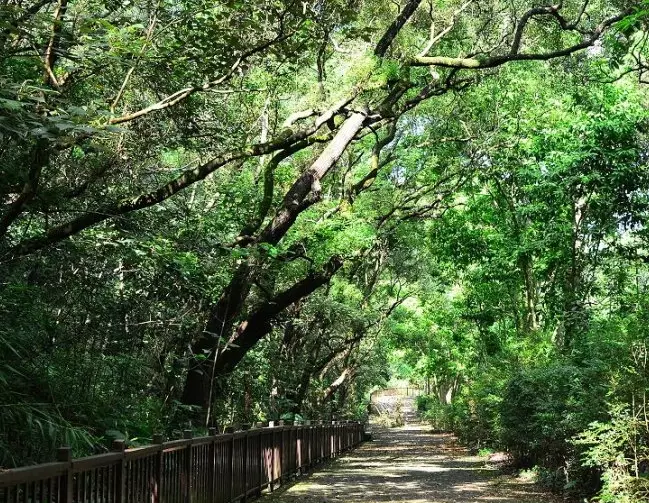 田中森林公園