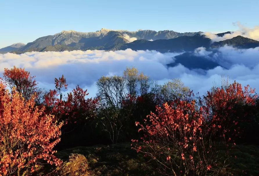 阿里山交通
