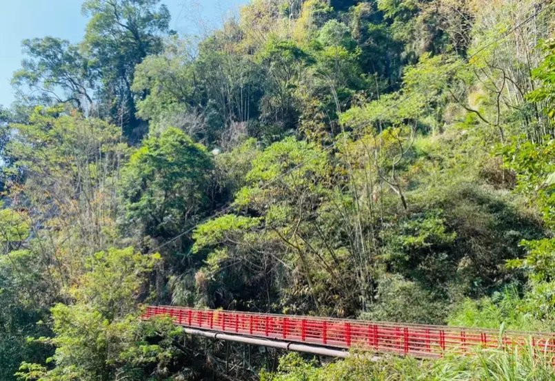 竹坑溪步道 挑戰