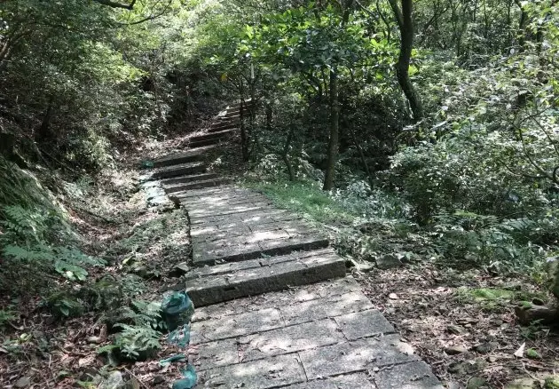 大小粗坑古道 O型