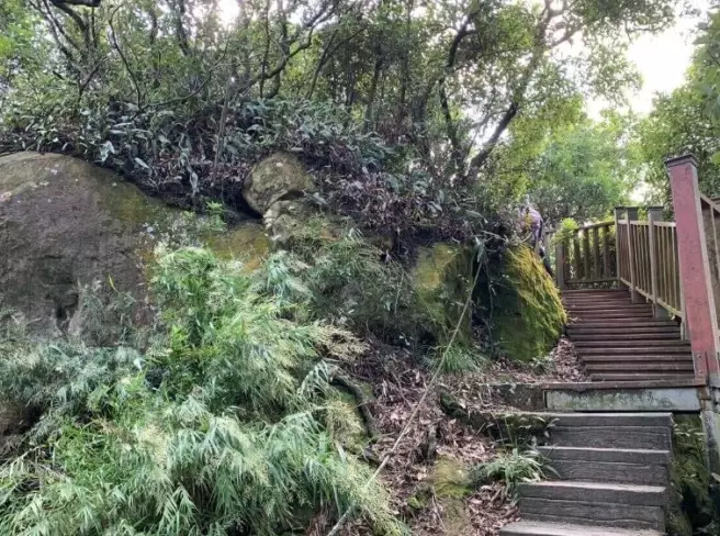 鶯歌石