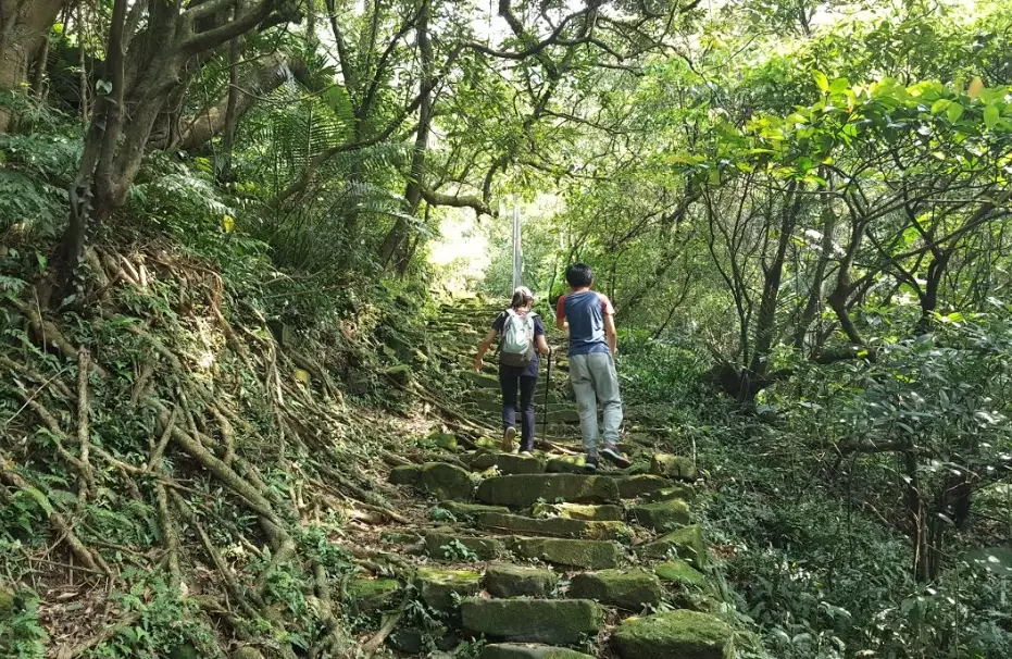 粗坑頭山 步道