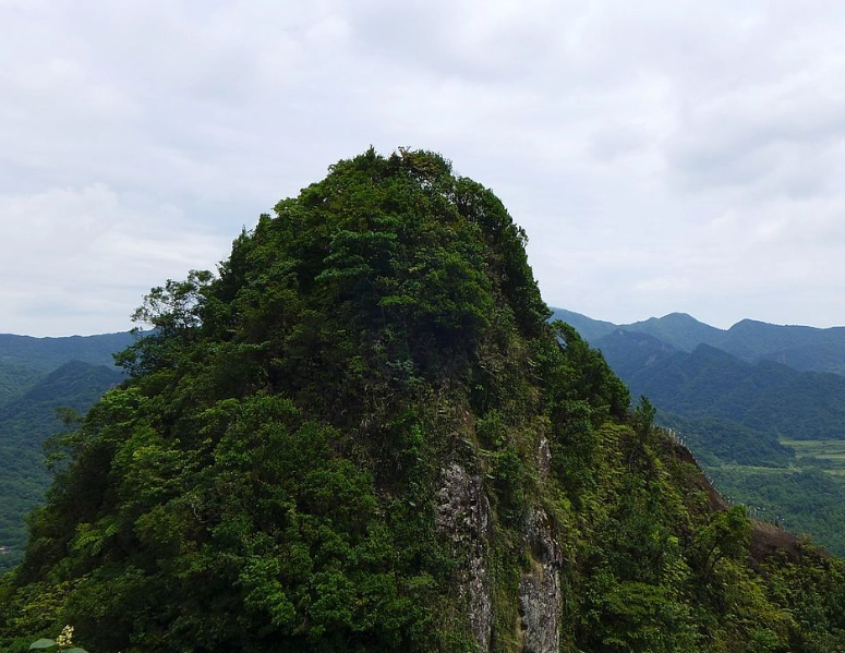 慈母山孝子山 交通