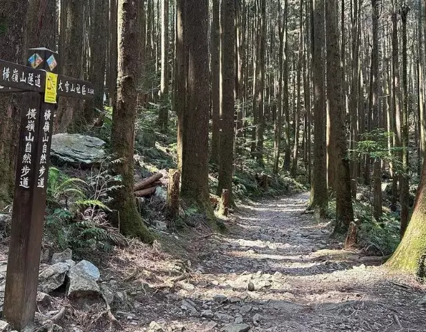 橫嶺山步道