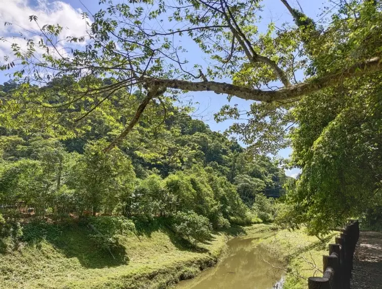 大溪溝生態步道
