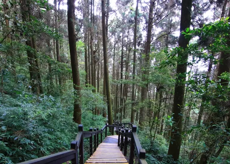 石棹步道群