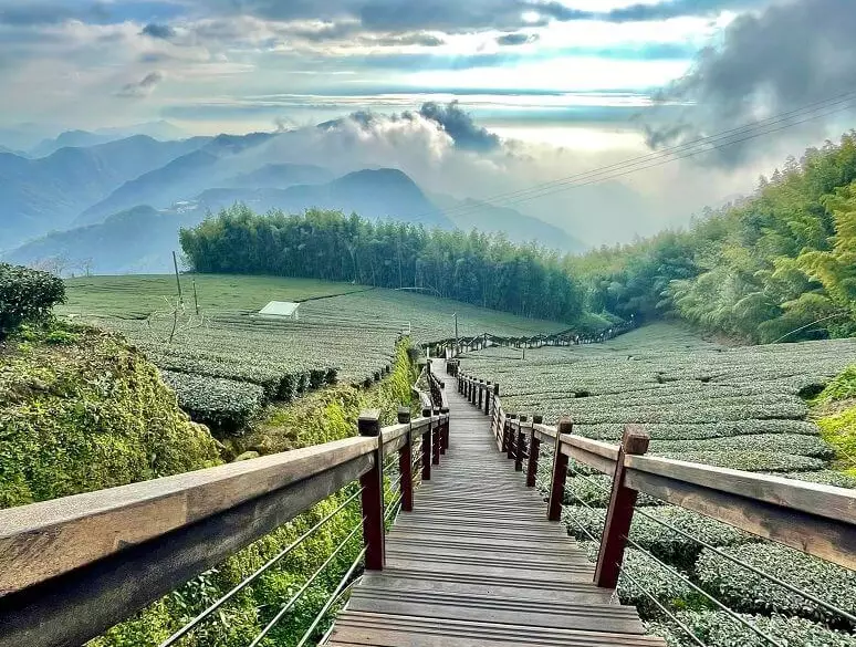 頂石棹步道