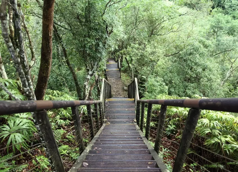 坪林茶鄉步道