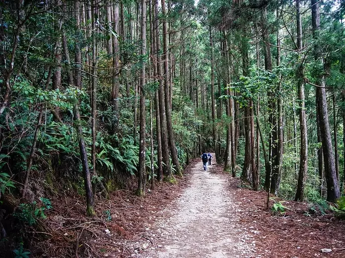 谷關七雄橫嶺山