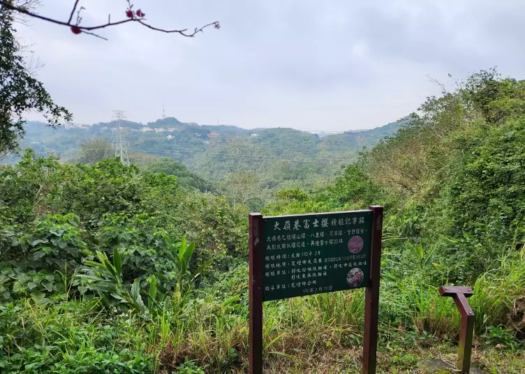 微熱山丘 鳳梨酥