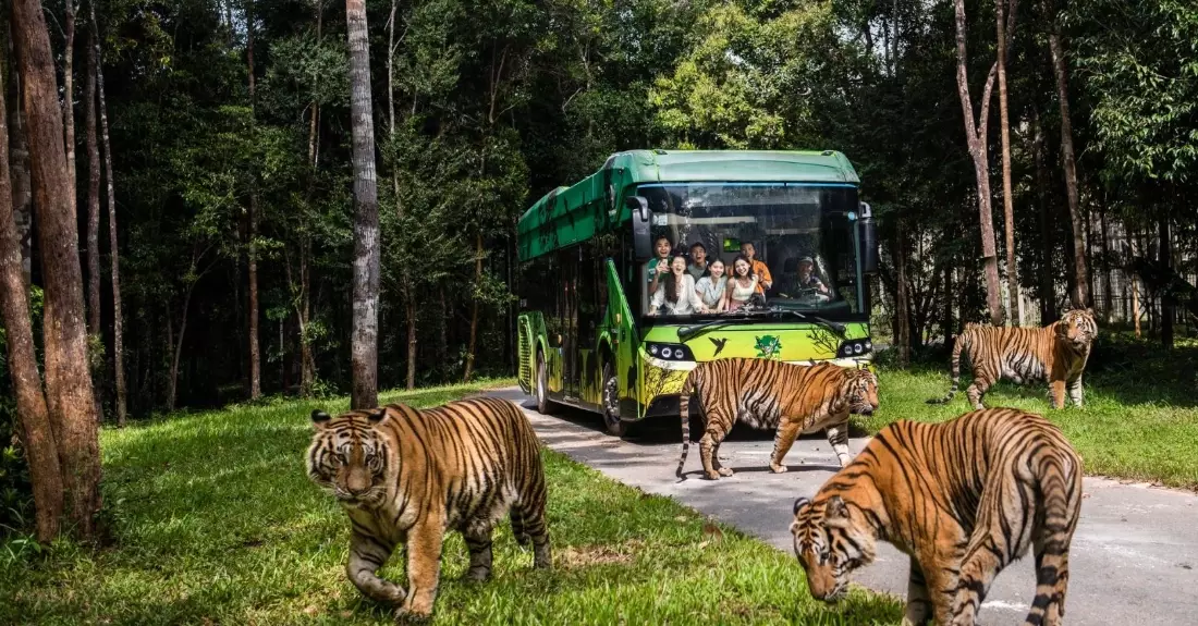 富國島珍珠野生動物園交通