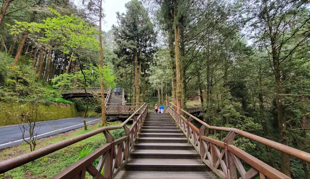 阿里山附近景點