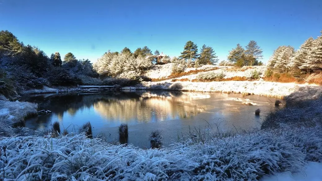 大雪山森林游乐区开放时间