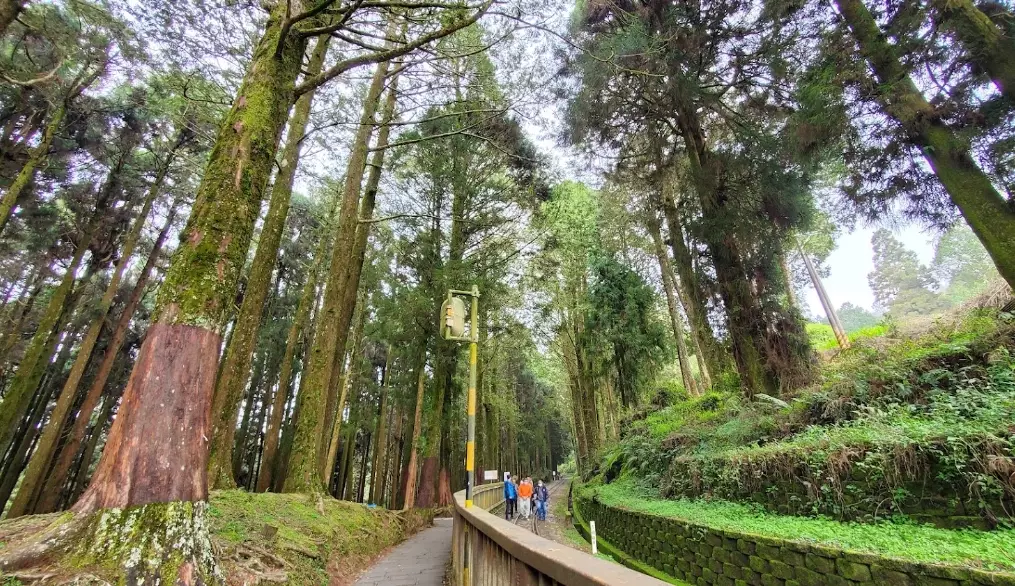 阿里山森林遊樂區周邊景點