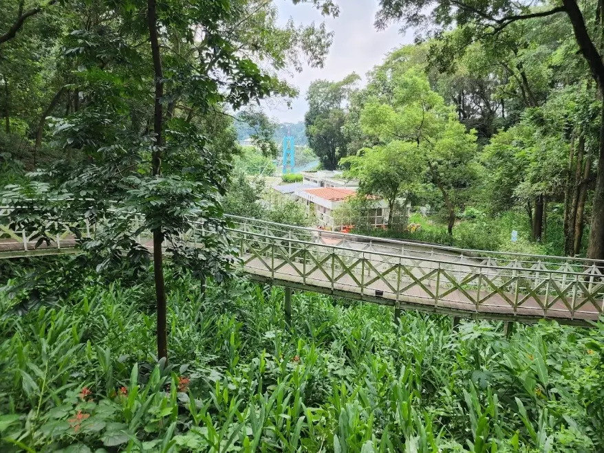 竹崎親水公園