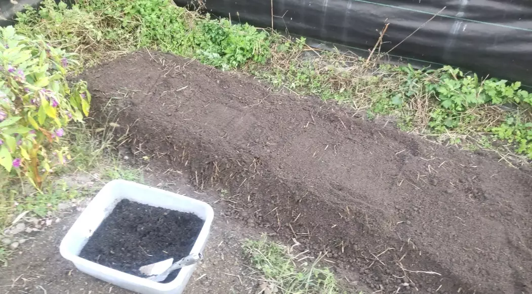 抹草施肥