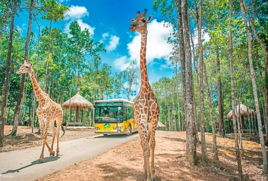 富國島動物園怎麼去