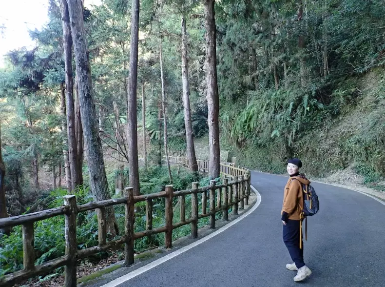 藤枝國家森林遊樂區接駁車 藤枝國家森林遊樂區接駁車