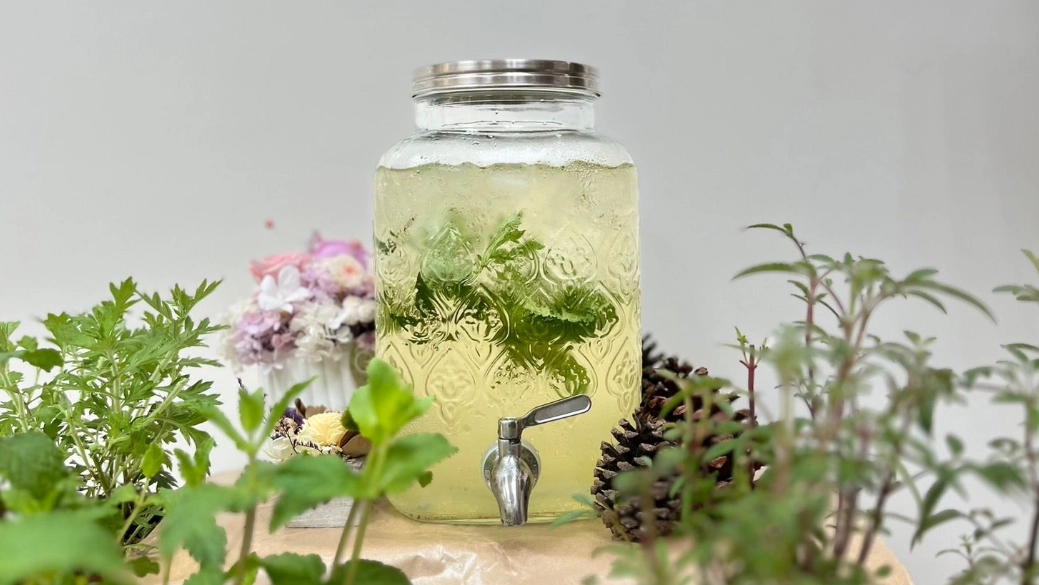 薄荷茶泡法