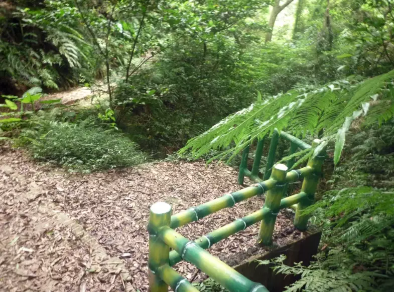 新埔登山步道 新埔登山步道