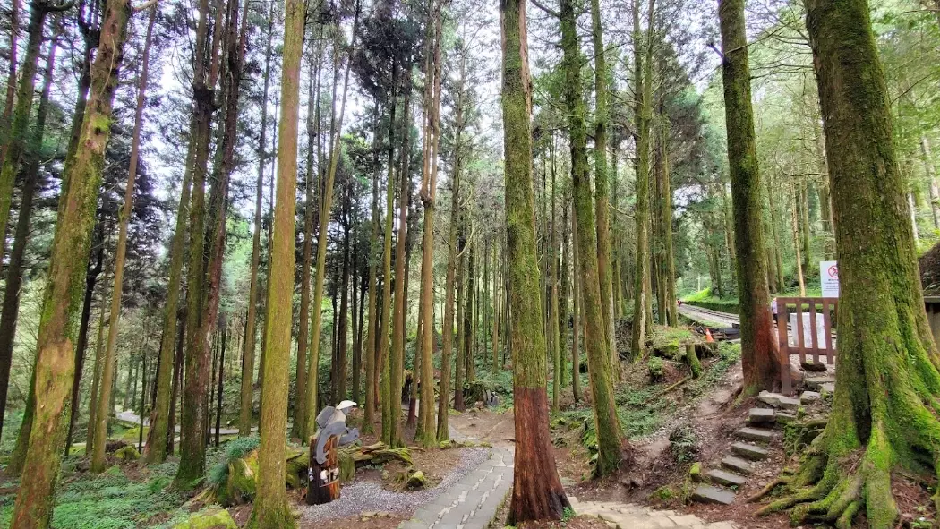 阿里山森林遊樂區周邊景點