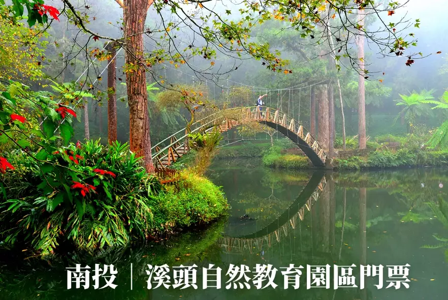 溪頭自然教育園區門票