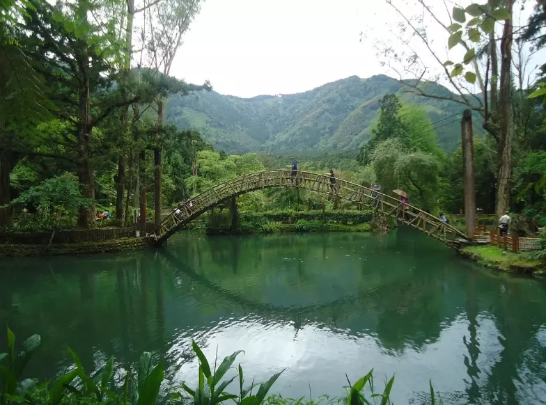 溪頭自然教育園區票價