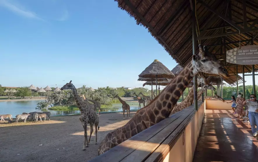 曼谷動物園 曼谷動物園