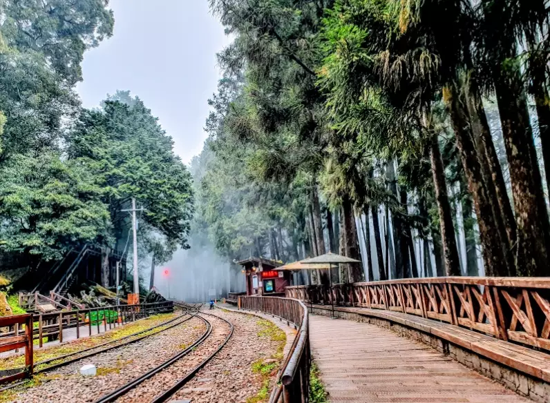 阿里山附近景點