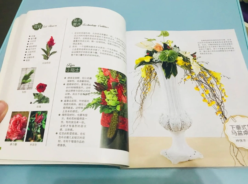 植物照護書籍