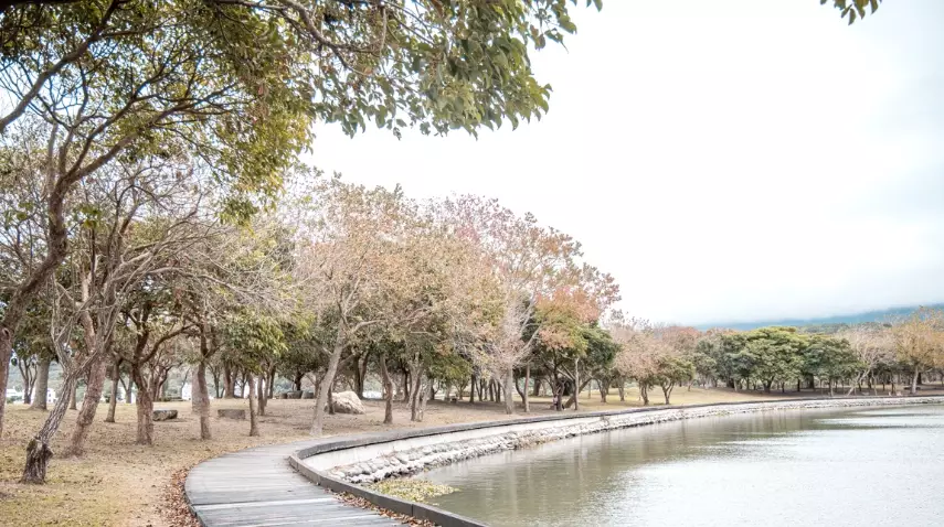 伯朗大道 伯朗大道