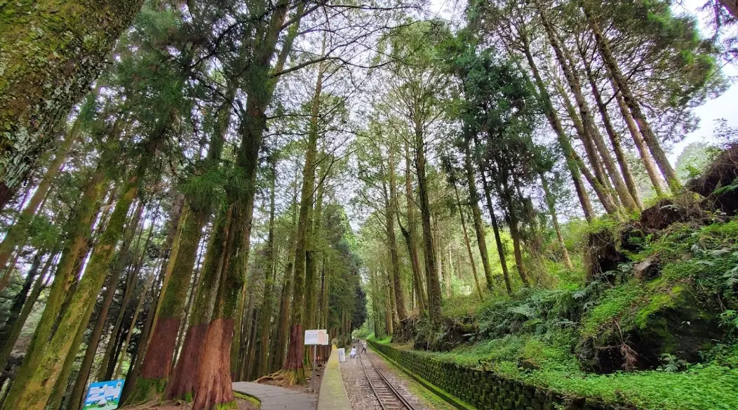 阿里山附近景點