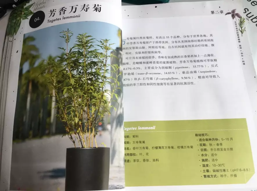 園藝書單