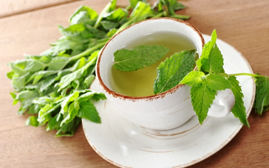 薄荷茶泡法