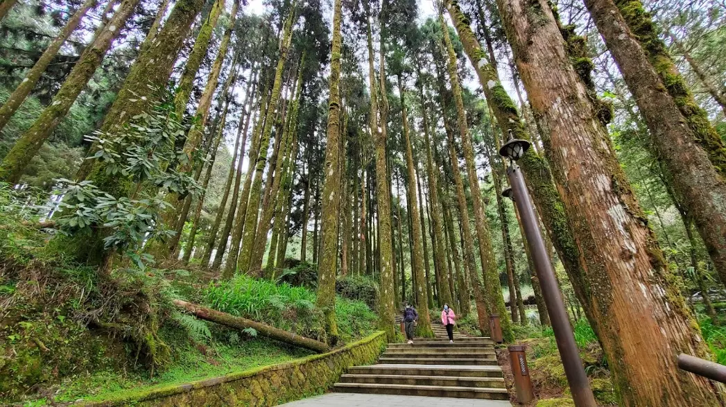 阿里山附近景點