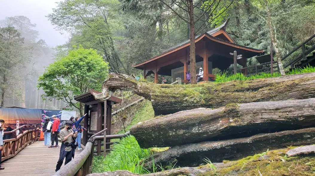 阿里山森林遊樂區周邊景點