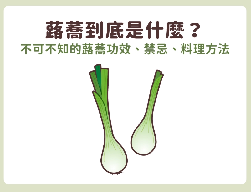 路喬評價