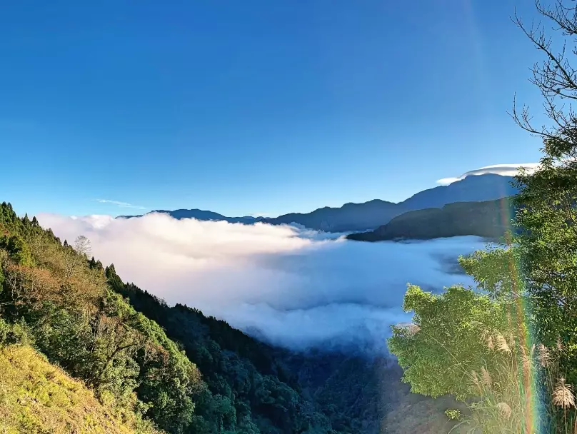 塔塔加步道 塔塔加步道