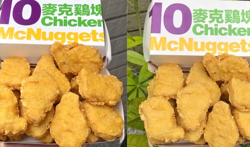 雞塊蛋白質含量