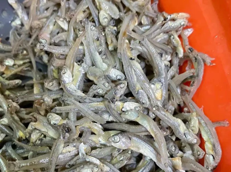 丁香魚乾 丁香魚乾