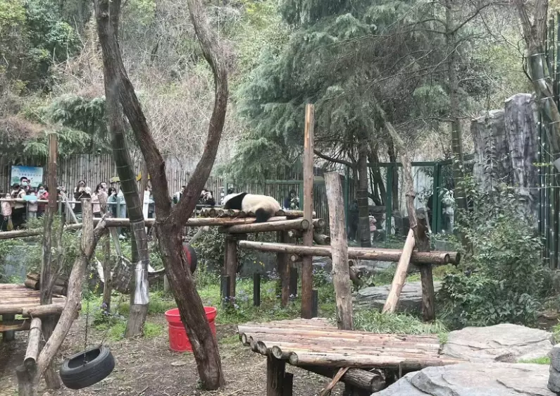 台北市立動物園大貓熊館