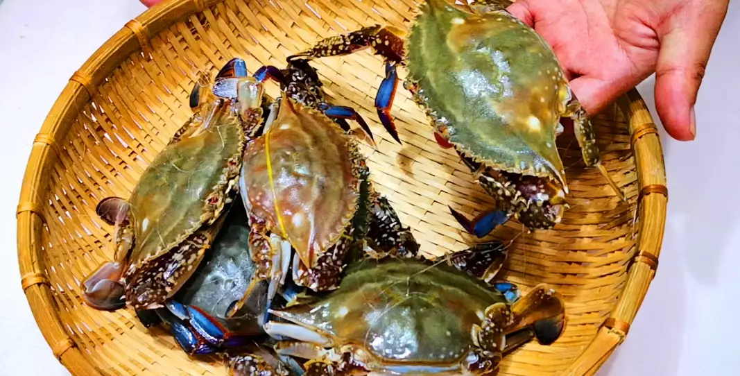 陸蟹呼吸方式