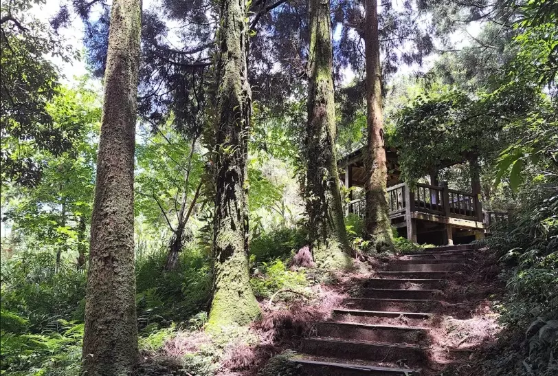 東眼山住宿