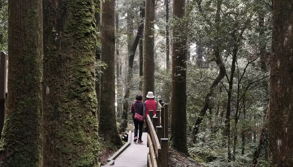 東眼山住宿