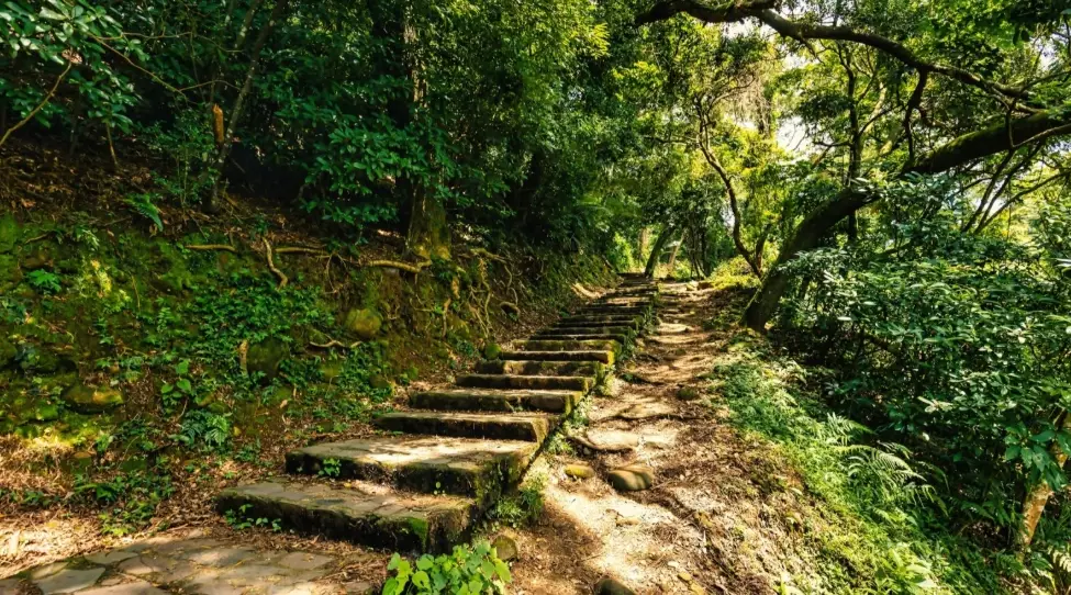 飛鳳山登山口