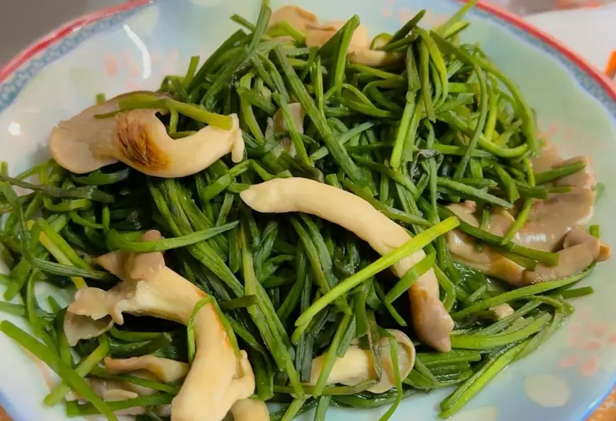 秀珍菇食譜