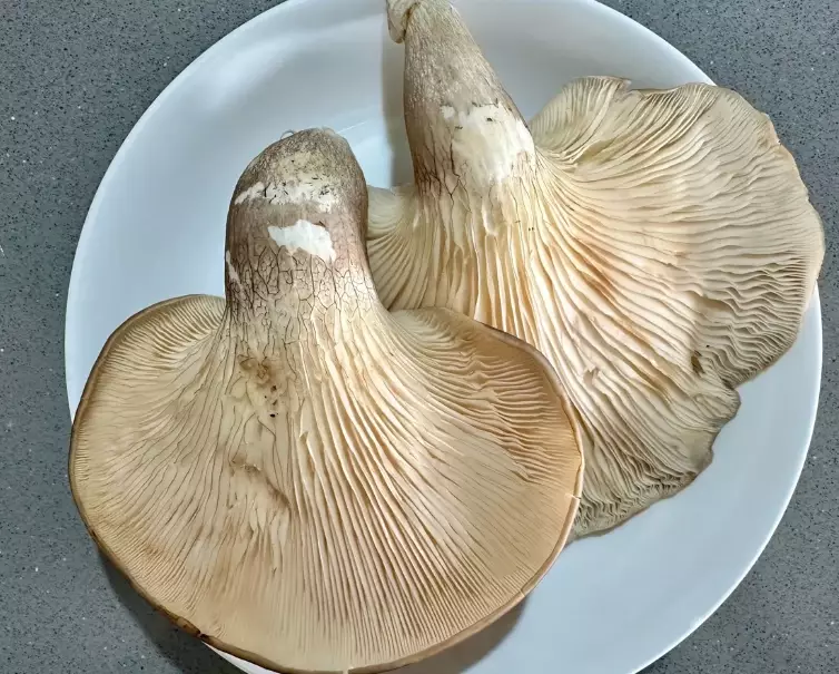 低卡蔬菜