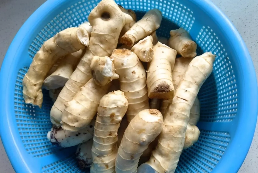玉竹不能和什麼一起吃 玉竹不能和什麼一起吃